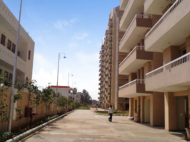 gallery_3